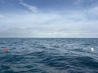 Great day of scuba diving in Key Largo with Rainbow Reef on benwood wreck tropical serenity 2026 01 18 r19429 1