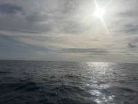Great day of scuba diving in Key Largo with Rainbow Reef on coral canyons tropical serenity 2026 01 11 r19410 1