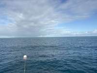 Great day of scuba diving in Key Largo with Rainbow Reef on nine channel tropical odyssey 2026 01 07 r19397 1