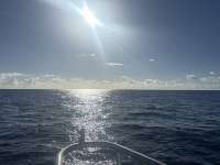 Great day of scuba diving in Key Largo with Rainbow Reef on spiegel grove tropical odyssey 2026 01 06 r19394 1
