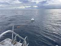 Great day of scuba diving in Key Largo with Rainbow Reef on spiegel grove tropical odyssey 2026 01 23 r19441 1