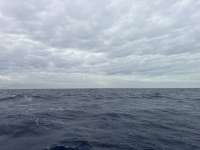 Great day of scuba diving in Key Largo with Rainbow Reef on spiegel grove tropical odyssey 2026 01 28 r19453 1