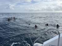 Great day of scuba diving in Key Largo with Rainbow Reef on uscgc duane tropical destiny 2026 01 18 r19431 1