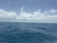 Great day of scuba diving in Key Largo with Rainbow Reef on benwood wreck tropical destiny 2026 07 20 r20017 1