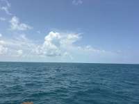 Great day of scuba diving in Key Largo with Rainbow Reef on benwood wreck tropical destiny 2026 07 23 r20032 1