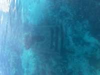 Great day of scuba diving in Key Largo with Rainbow Reef on christ statue tropical adventure 2026 07 01 r19929 1