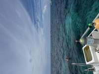 Great day of scuba diving in Key Largo with Rainbow Reef on christ statue tropical serenity 2026 07 27 r20066 1