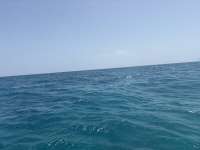 Great day of scuba diving in Key Largo with Rainbow Reef on coral canyons tropical adventure 2026 07 10 r19969 1