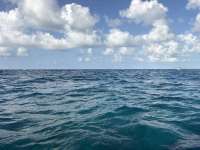 Great day of scuba diving in Key Largo with Rainbow Reef on coral canyons tropical destiny 2026 07 22 r20024 1