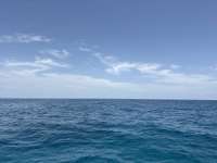 Great day of scuba diving in Key Largo with Rainbow Reef on drift french tropical destiny 2026 07 17 r20002 1