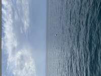 Great day of scuba diving in Key Largo with Rainbow Reef on hourglass tropical serenity 2026 07 27 r20063 1