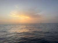 Great day of scuba diving in Key Largo with Rainbow Reef on nine channel tropical odyssey 2026 07 07 r19957 1