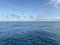 Great day of scuba diving in Key Largo with Rainbow Reef on snapper ledge tropical destiny 2026 07 17 r19998 1