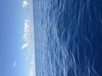 Great day of scuba diving in Key Largo with Rainbow Reef on spiegel grove tropical destiny 2026 07 26 r20058 1