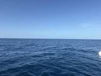 Great day of scuba diving in Key Largo with Rainbow Reef on spiegel grove tropical odyssey 2026 07 04 r19944 1