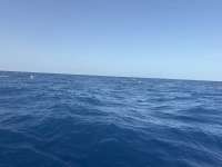 Great day of scuba diving in Key Largo with Rainbow Reef on spiegel grove tropical odyssey 2026 07 14 r19987 1