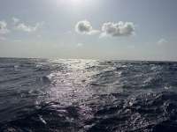 Great day of scuba diving in Key Largo with Rainbow Reef on uscgc duane tropical destiny 2026 07 20 r20015 1