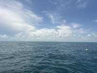 Great day of scuba diving in Key Largo with Rainbow Reef on benwood wreck tropical destiny 2026 06 11 r19849 1