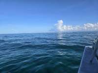 Great day of scuba diving in Key Largo with Rainbow Reef on french twist tropical destiny 2026 06 08 r19841 1