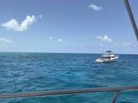 Great day of scuba diving in Key Largo with Rainbow Reef on hole in the wall tropical odyssey 2026 06 28 r19918 1