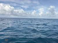 Great day of scuba diving in Key Largo with Rainbow Reef on logans run tropical destiny 2026 06 11 r19848 1
