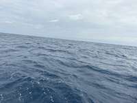 Great day of scuba diving in Key Largo with Rainbow Reef on spiegel grove tropical serenity 2026 06 05 r19828 1