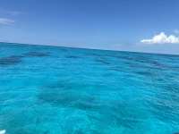 Great day of scuba diving in Key Largo with Rainbow Reef on student classes trip tropical legend 2026 06 15 r19867 1