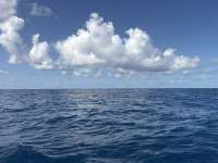 Great day of scuba diving in Key Largo with Rainbow Reef on uscgc duane tropical serenity 2026 06 07 r19836 1