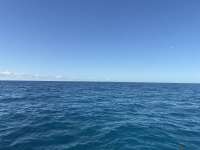Great day of scuba diving in Key Largo with Rainbow Reef on benwood wreck tropical legend 2026 03 22 r19587 1