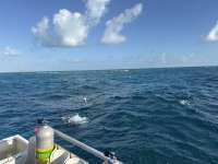 Great day of scuba diving in Key Largo with Rainbow Reef on molasses reef tropical legend 2026 03 08 r19548 1