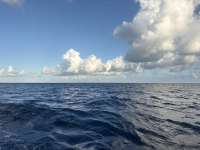 Great day of scuba diving in Key Largo with Rainbow Reef on spiegel grove tropical destiny 2026 03 29 r19606 1