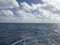 Great day of scuba diving in Key Largo with Rainbow Reef on spiegel grove tropical odyssey 2026 03 04 r19543 1