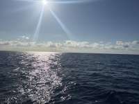 Great day of scuba diving in Key Largo with Rainbow Reef on uscgc duane tropical destiny 2026 03 23 r19592 1