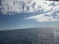 Great day of scuba diving in Key Largo with Rainbow Reef on benwood wreck tropical serenity 2026 05 15 r19770 1