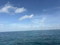 Great day of scuba diving in Key Largo with Rainbow Reef on eagle ray alley tropical legend 2026 05 09 r19748 1