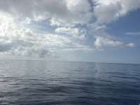 Great day of scuba diving in Key Largo with Rainbow Reef on spiegel grove tropical odyssey 2026 05 29 r19797 1