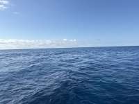 Great day of scuba diving in Key Largo with Rainbow Reef on uscgc duane tropical serenity 2026 05 16 r19772 1