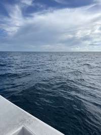 Great day of scuba diving in Key Largo with Rainbow Reef on benwood wreck tropical destiny 2026 09 05 r20324 1