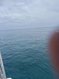 Great day of scuba diving in Key Largo with Rainbow Reef on benwood wreck tropical legend 2026 09 08 r20346 1