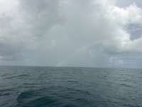 Great day of scuba diving in Key Largo with Rainbow Reef on benwood wreck tropical legend 2026 09 14 r20367 1