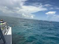 Great day of scuba diving in Key Largo with Rainbow Reef on christ statue tropical legend 2026 09 05 r20330 1