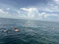 Dive photo at Christ Statue in Key Largo, Florida from Tropical Legend with Captain Tammy on September 14, 2026, Rainbow Reef Dive Center