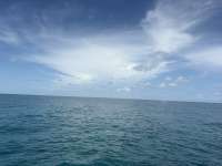 Great day of scuba diving in Key Largo with Rainbow Reef on city of washington tropical destiny 2026 09 12 r20361 1