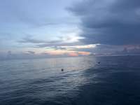 Great day of scuba diving in Key Largo with Rainbow Reef on nine channel tropical legend 2026 09 05 r20331 1
