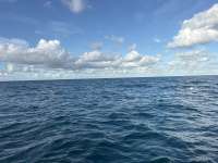 Dive photo at Nine Channel in Key Largo, Florida from Tropical Serenity with Captain Tammy on September 16, 2026, Rainbow Reef Dive Center