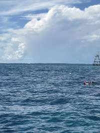 Dive photo at North Star in Key Largo, Florida from Tropical Destiny with Captain Matthew Lo on September 19, 2026, Rainbow Reef Dive Center