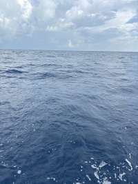 Great day of scuba diving in Key Largo with Rainbow Reef on spiegel grove tropical destiny 2026 09 04 r20321 1
