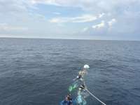 Great day of scuba diving in Key Largo with Rainbow Reef on spiegel grove tropical destiny 2026 09 08 r20344 1