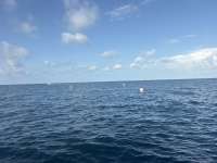 Great day of scuba diving in Key Largo with Rainbow Reef on spiegel grove tropical serenity 2026 09 13 r20364 1