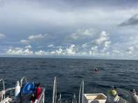 Dive photo at Spiegel Grove in Key Largo, Florida from Tropical Serenity with Captain Tammy on September 17, 2026, Rainbow Reef Dive Center